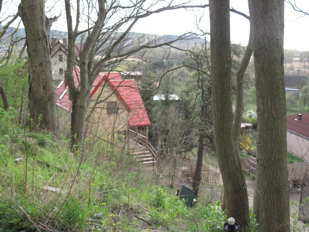 Osrodek Wczasowy Zloty Dab - Domki Miedzyzdroje Exterior foto
